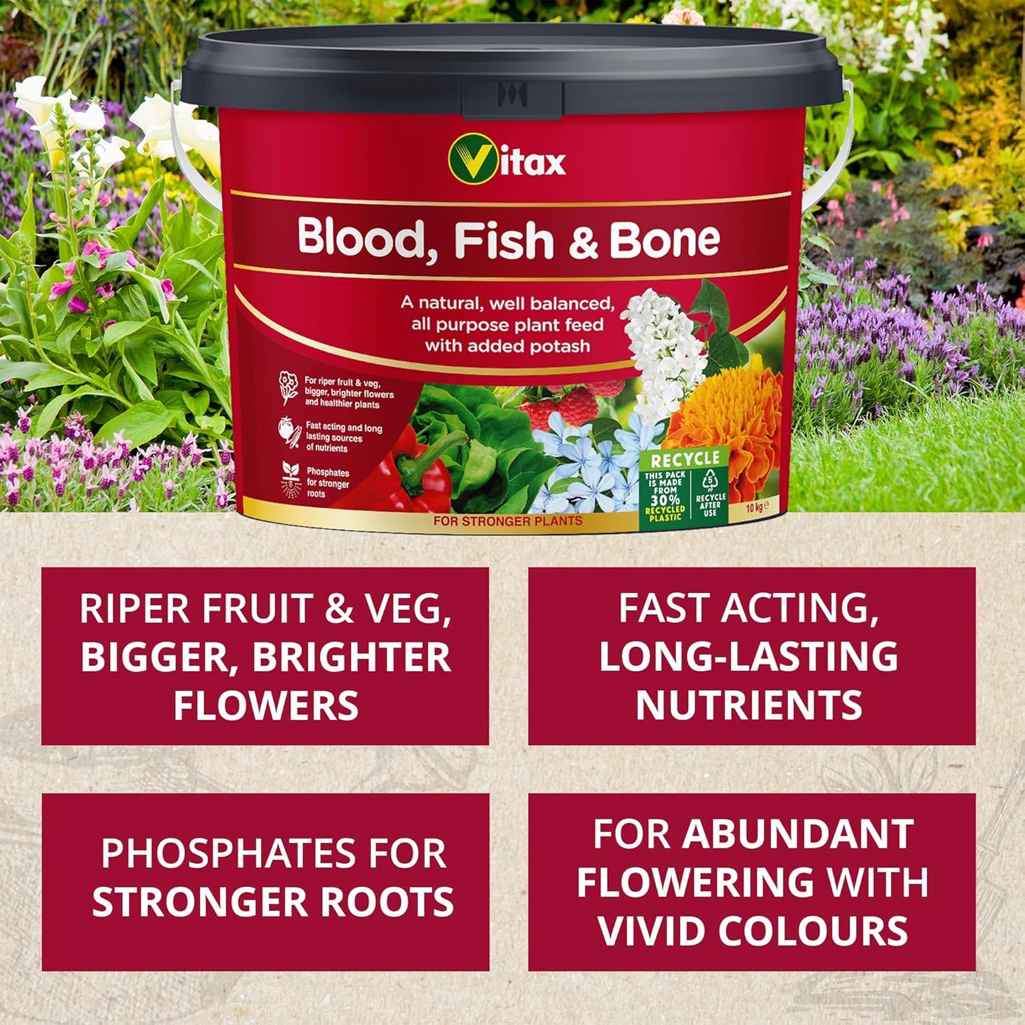 Vitax Blood Fish & Bone Fertiliser| AllYear Around Continuous Nutrition | 10kg Resealable Tub