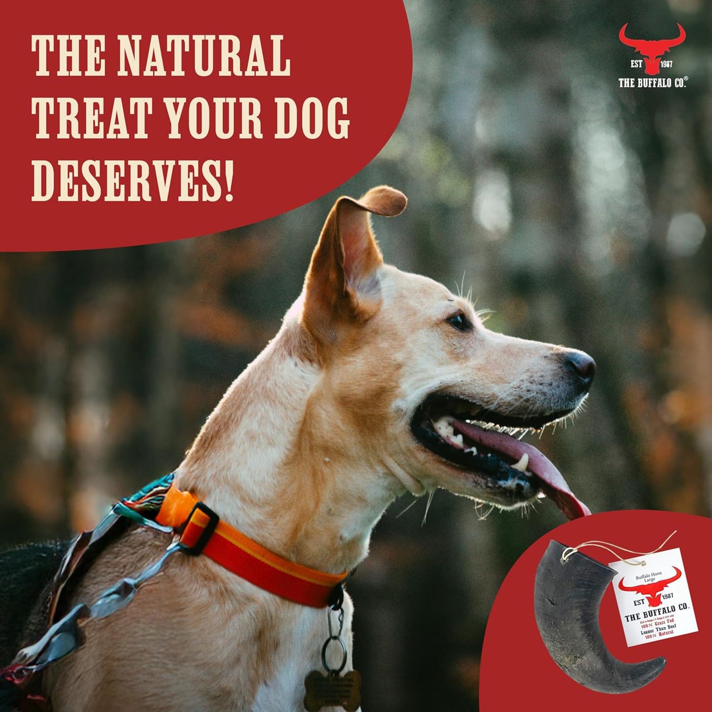 The Buffalo Co. Buffalo Horn for Dogs | Large (6-8 Inch) | 100% Natural Grass-Fed Dog Treats