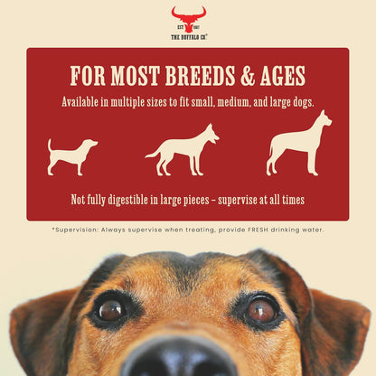 The Buffalo Co. Buffalo Horn for Dogs | Large (6-8 Inch) | 100% Natural Grass-Fed Dog Treats