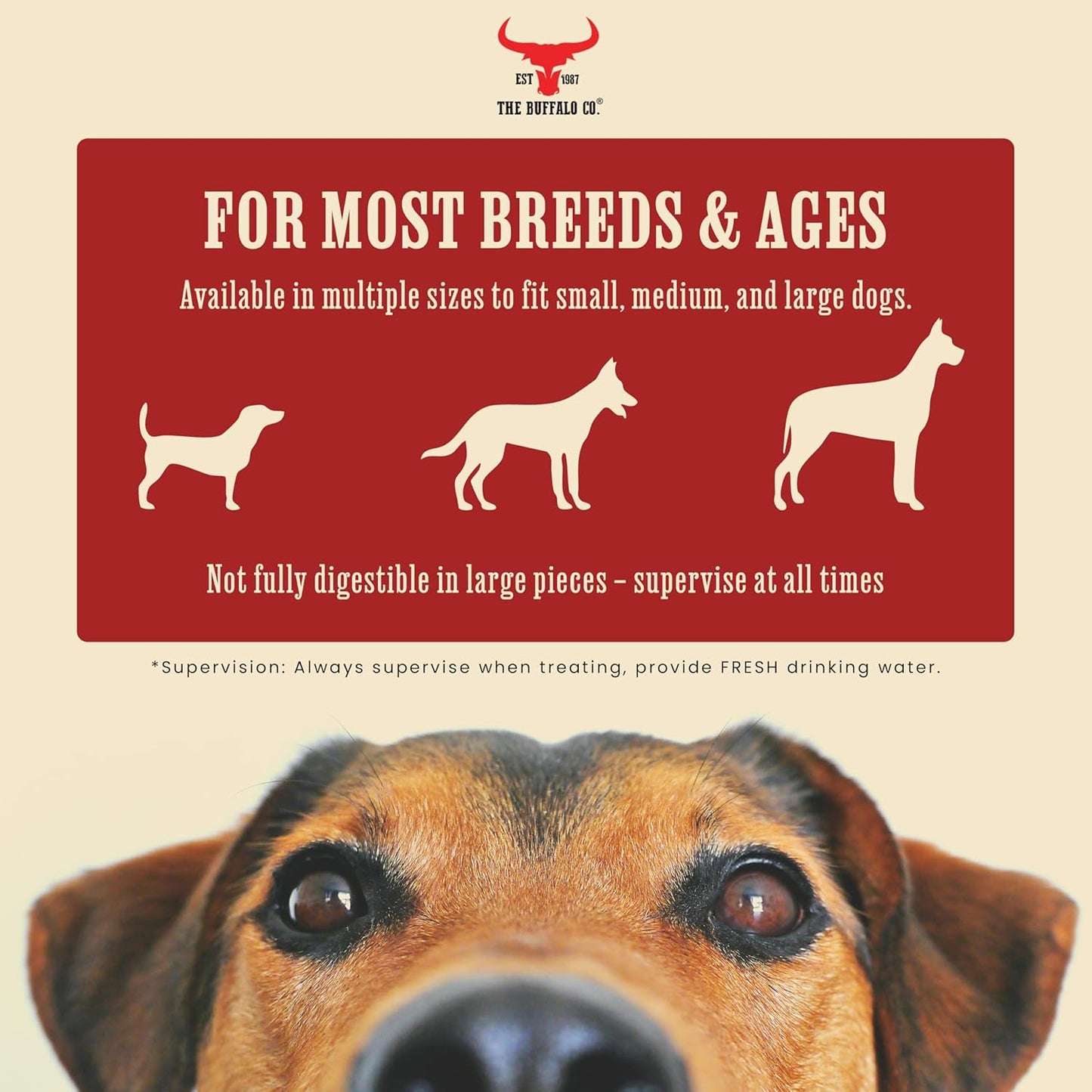 The Buffalo Co. Buffalo Horns for Dogs Small 4–5 Inch