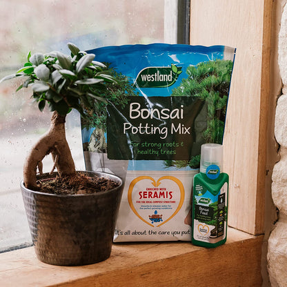 Westland Bonsai Potting Compost Mix and Enriched with Seramis 4 Litre