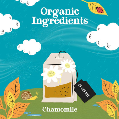 Clipper Organic Chamomile Infusion Fairtrade Enveloped (250)