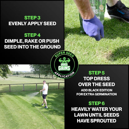 Lawn Seed 500g | Premium Grass Seeds Fast Growing for Patch Magic Lawn Repair | 1 x 500g
