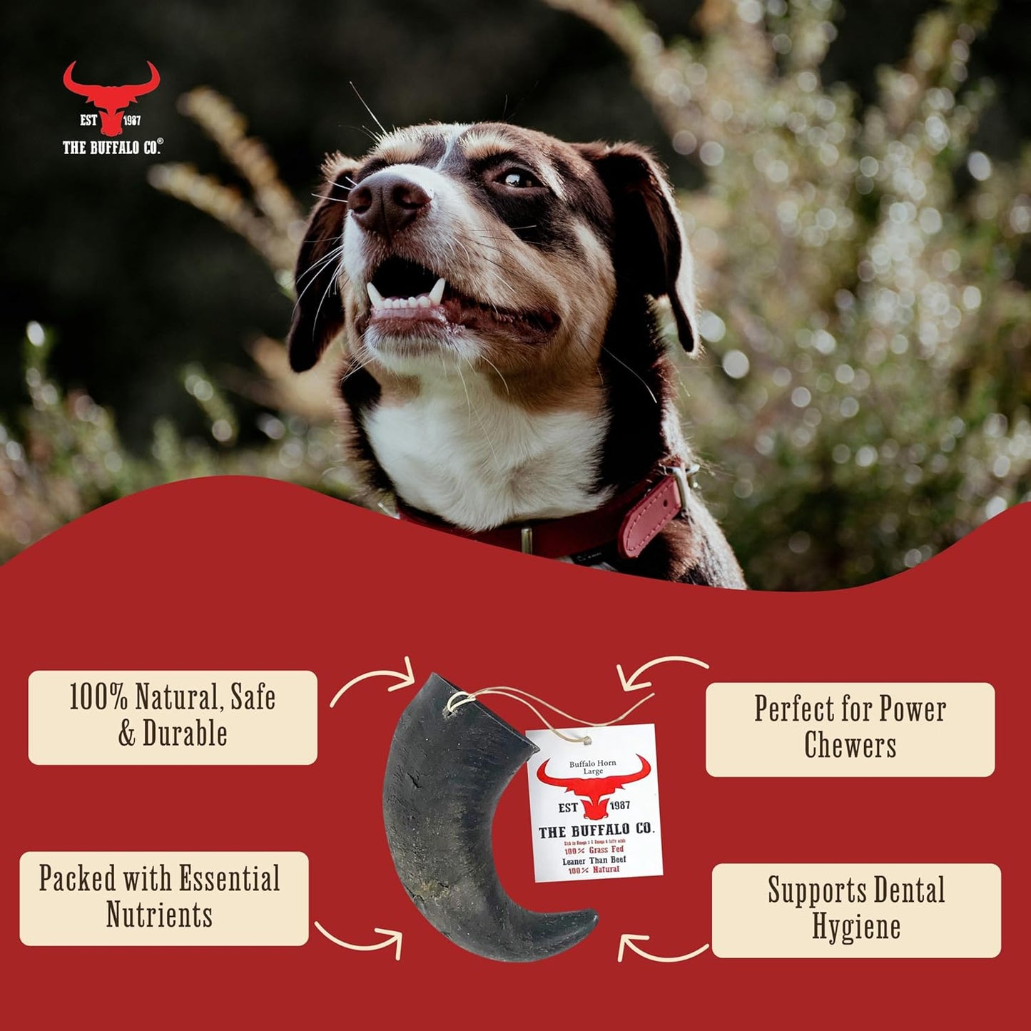 The Buffalo Co. Buffalo Horn for Dogs | Large (6-8 Inch) | 100% Natural Grass-Fed Dog Treats