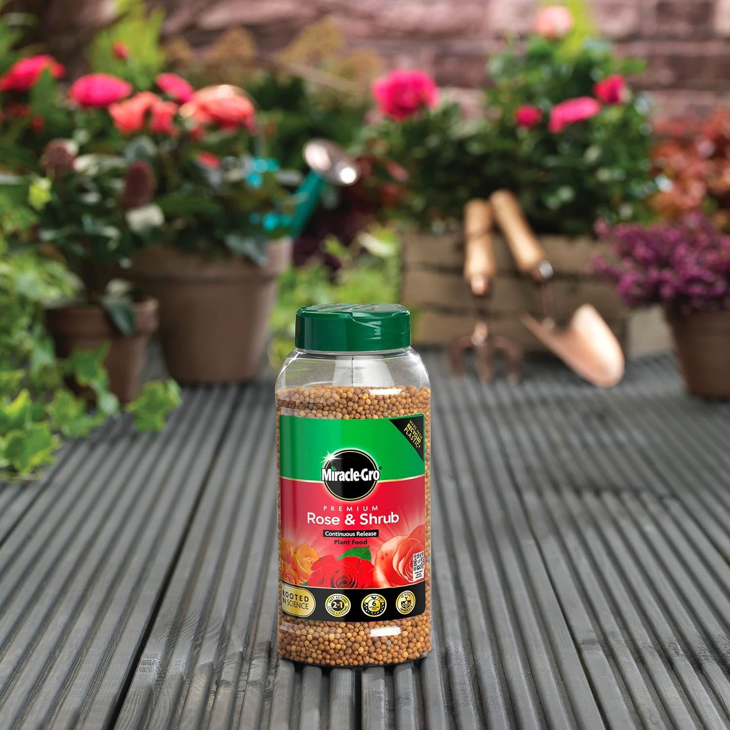 Miracle-Gro Premium Rose & Shrub Continuous Release Plant Food, 900G