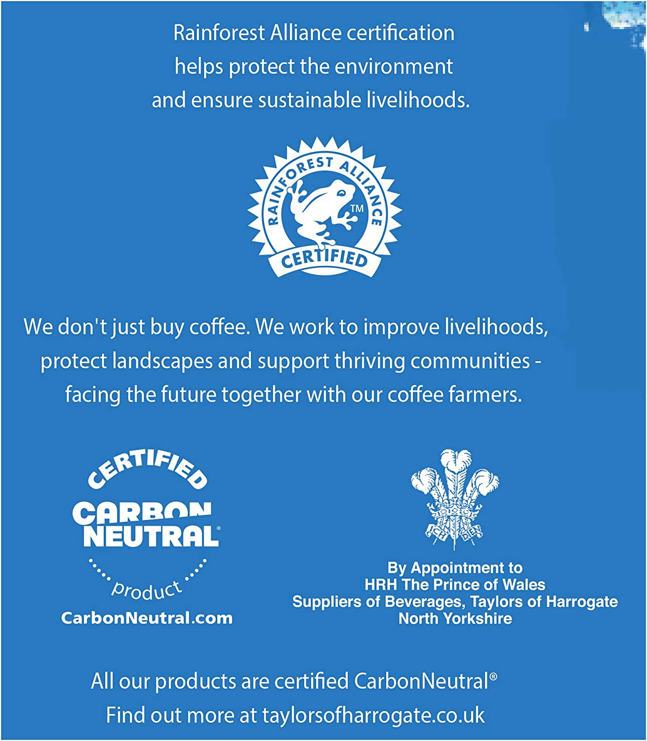 Taylors of Harrogate Decaffe Coffee Bags Pack 30s