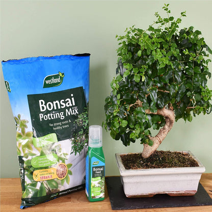 Westland Bonsai Potting Compost Mix and Enriched with Seramis 4 Litre