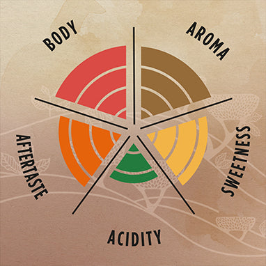 Lavazza La Reserva de Tierra Selection Coffee Beans 1kg (3 Pack Bundle)