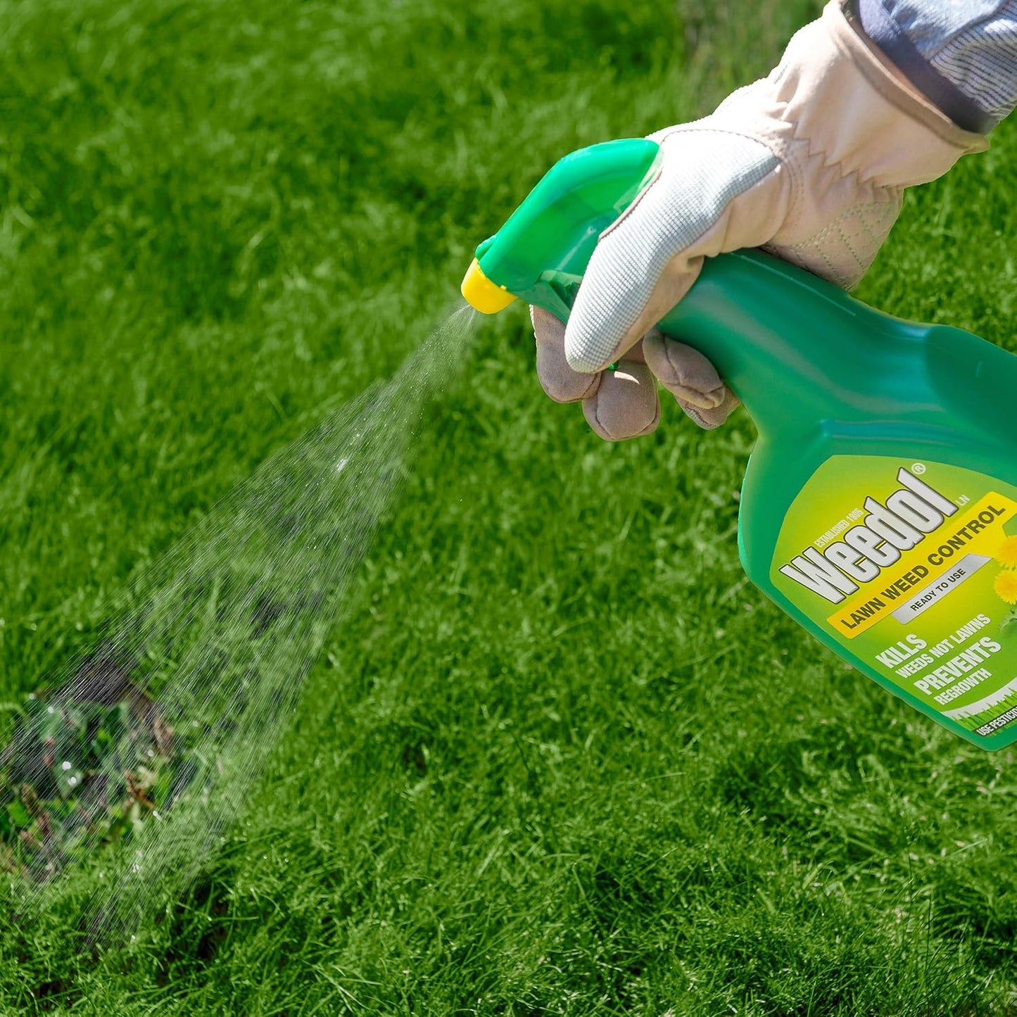 Weedol Lawn Control Trigger Spray | Non Clopyralid Formula | Kills and Controls | 1 Litre