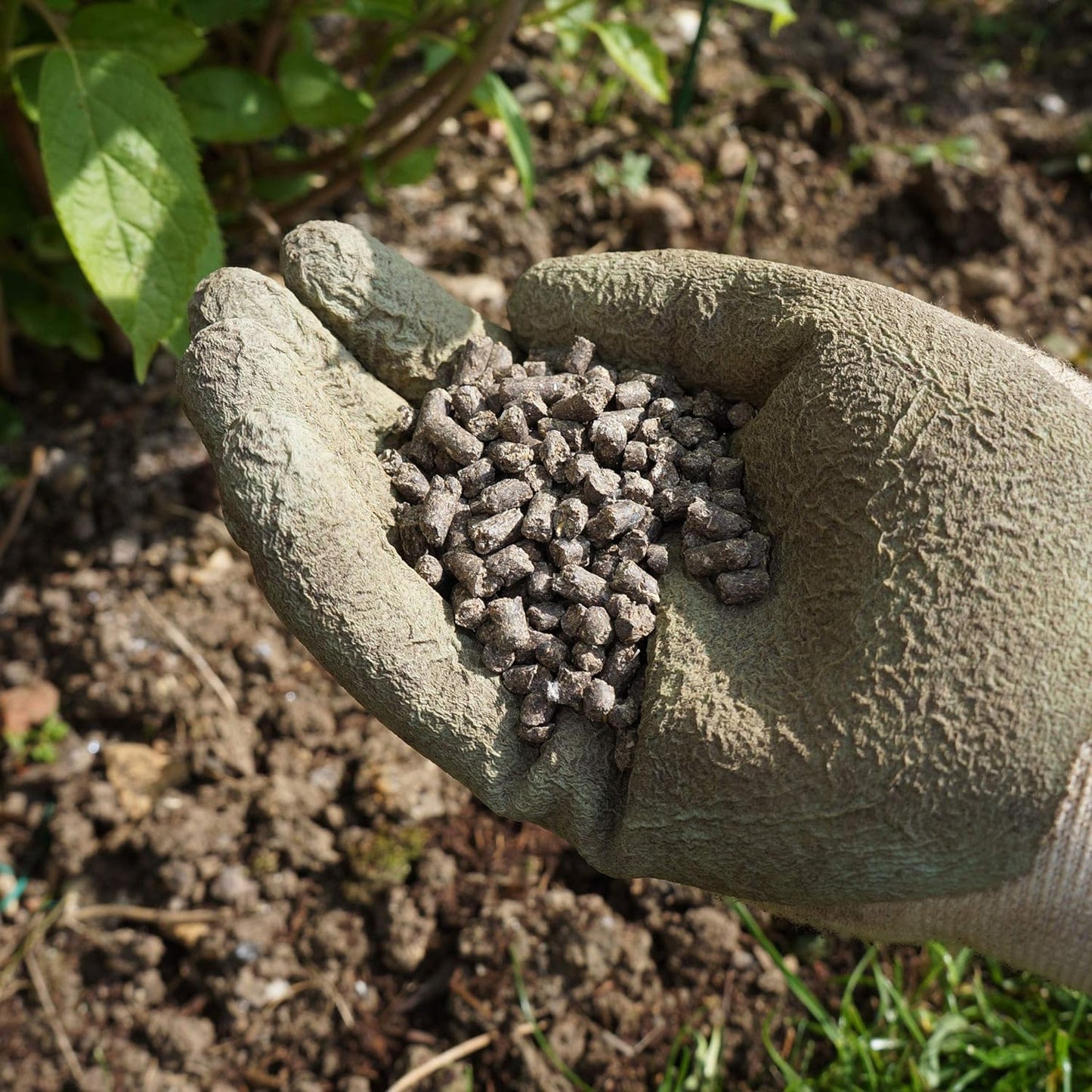 Vitax 6X Pelleted 100% Natural Chicken Manure 7kg