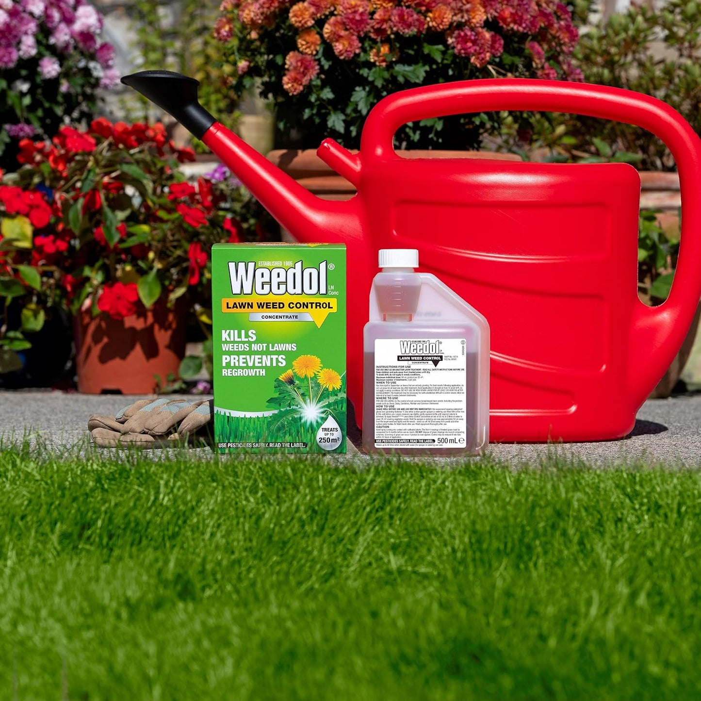 Weedol Lawn Weedkiller |  Concentrated 500ml | Kills Weeds Not Lawns