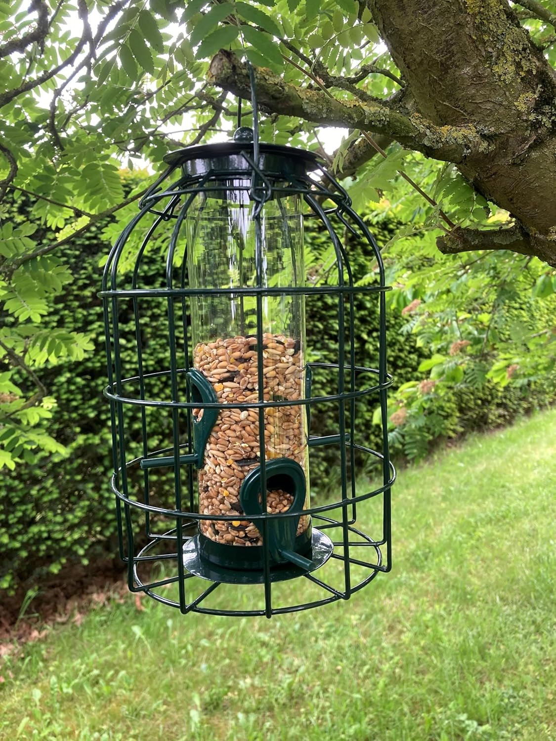 Oakdale Squirrel Resistant large Premium Seed Bird Feeders