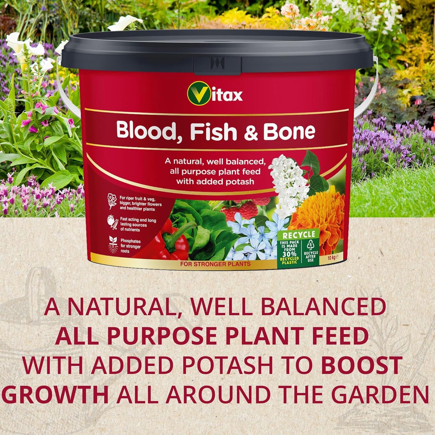 Vitax Blood Fish & Bone Fertiliser| AllYear Around Continuous Nutrition | 10kg Resealable Tub