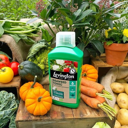 Levington Seaweed Tonic 800ml