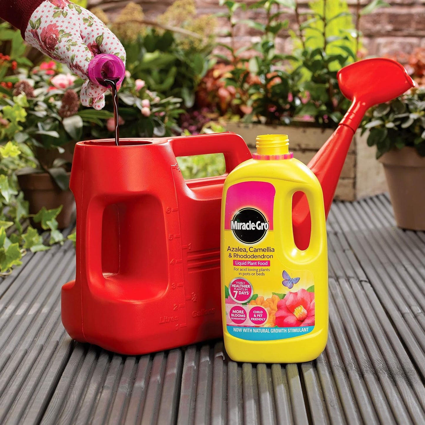 Miracle-Gro Azalea, Camellia & Rhododendron Concentrated Liquid Plant Food, 1 Litre