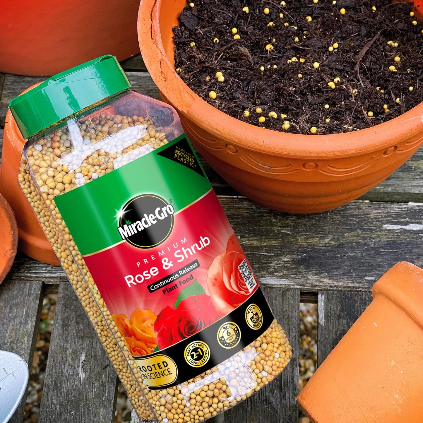 Miracle-Gro Premium Rose & Shrub Continuous Release Plant Food, 900G