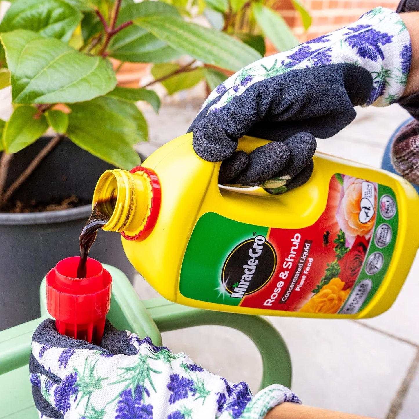 Miracle-Gro Rose & Shrub Concentrated Plant Food, 800ml.