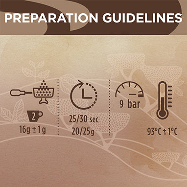 Lavazza La Reserva de Tierra Selection Coffee Beans 1kg (3 Pack Bundle)