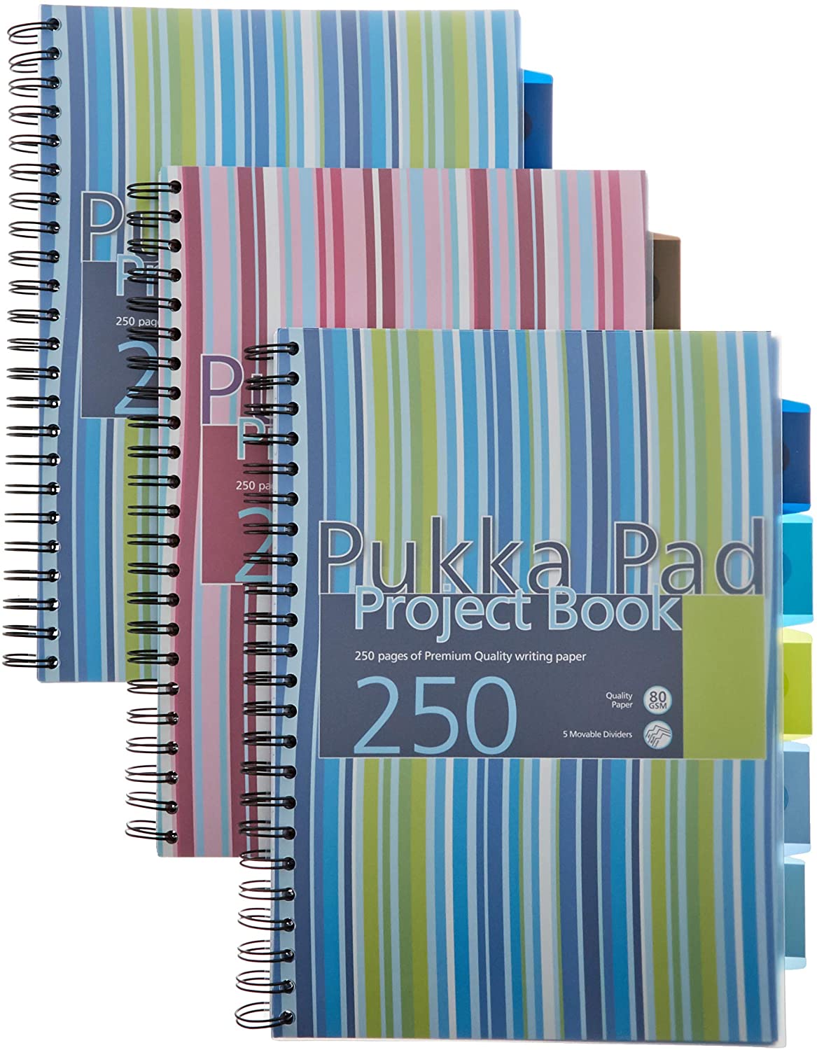 Pukka Pad Stripes Polypropylene Project Book 250 Pages A4 Blue/Pink (Pack of 3) PROBA4