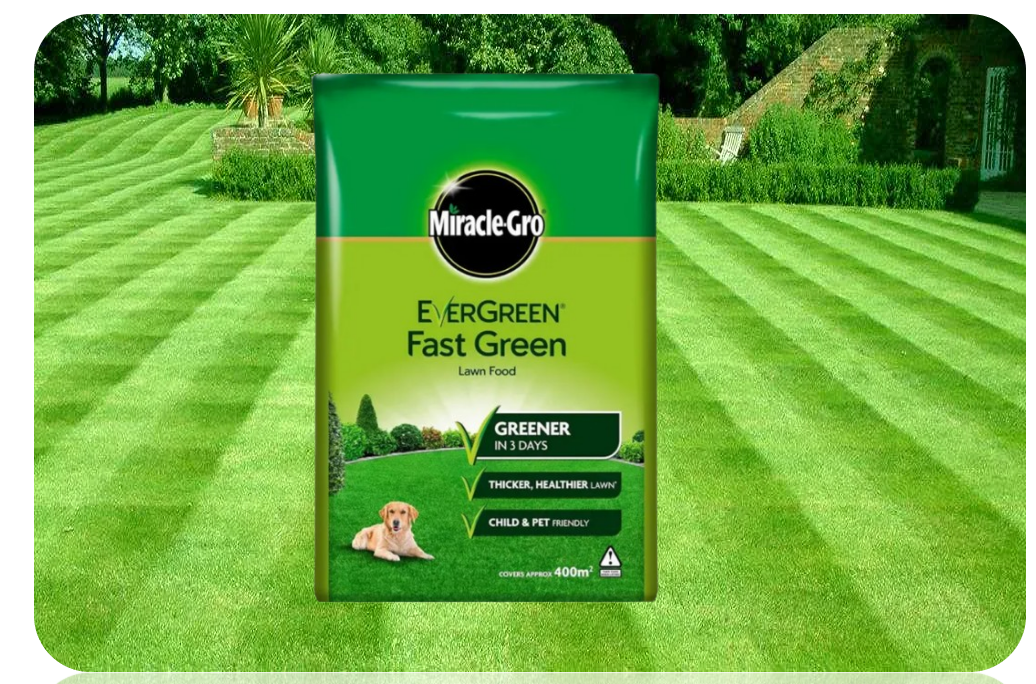 Miracle-Gro Ever Green Fast Thicker Green Grass Lawn Food 7kg - 400m2