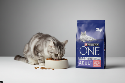 Purina ONE Adult Dry Cat Food Salmon & Wholegrain 3kg