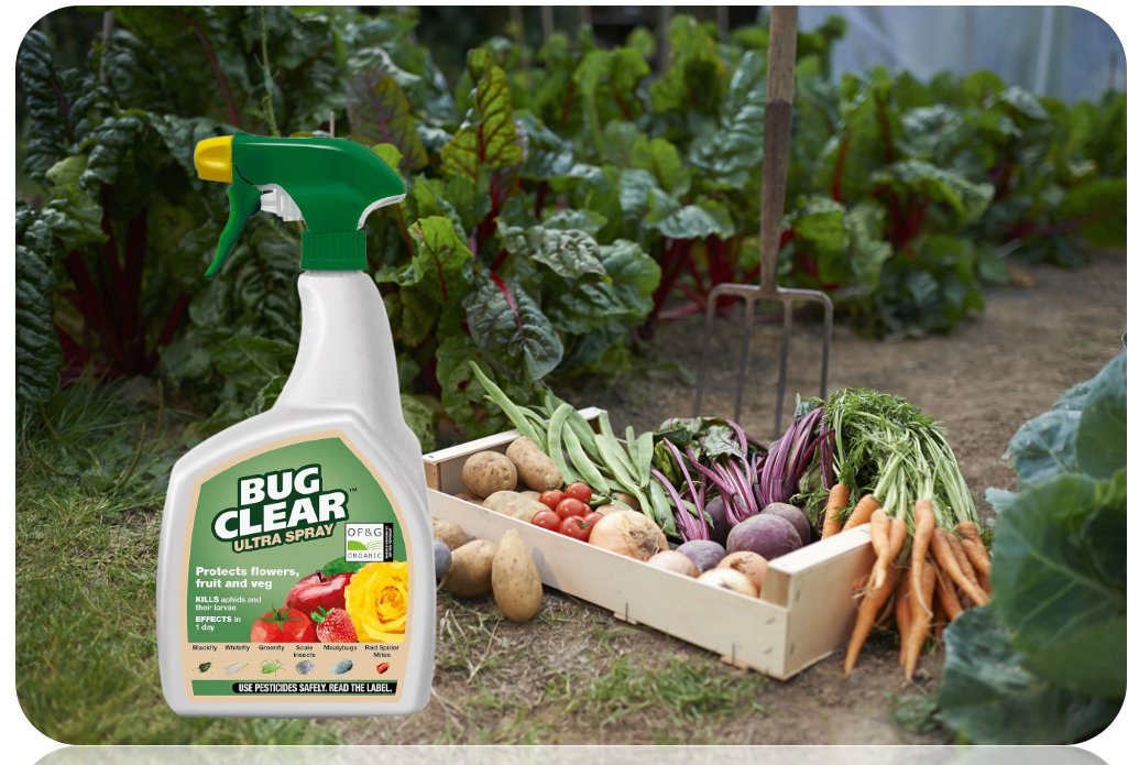 Bug Clear Ultra Fruit And Veg Plant Protection, Ready To Use, 800 Ml