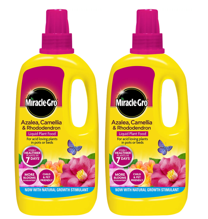 Miracle-Gro Azalea, Camellia & Rhododendron Concentrated Liquid Plant Food, 1 Litre