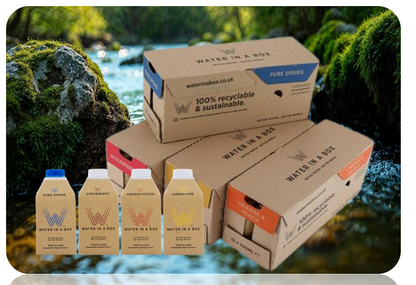 Vivid Water in a Box Pure Spring Water, Cartons, 500ml, Pack of 12