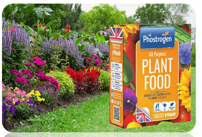 Phostrogen All Purpose Plant Food 800g = 80 can