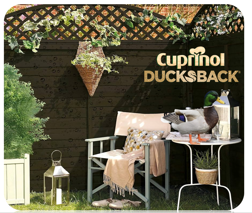 Cuprinol Ducksback 5 Year Waterproof For Sheds And Fences, 5 L - Forest Oak