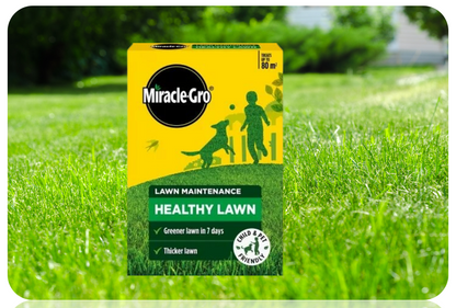 Miracle-Gro Healthy Lawn Food | Green in a Week | 80m2