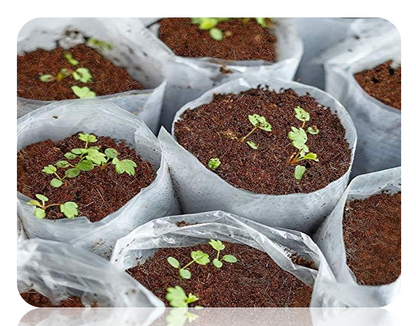 5kg Coir Potting Mix Brick | Expands to 75 Litre of 100% Natural Compost