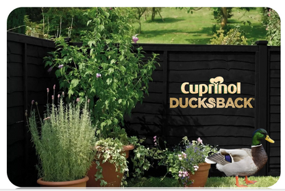 Cuprinol Ducksback Fence & Decking Stain | Autumn Black | Non Slip | Water Repellent | 5 Litre