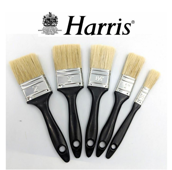 Extra - Natural Paint Brushes - Set Of 5 - 12Mm, 25Mm, 38Mm 50Mm & 62Mm