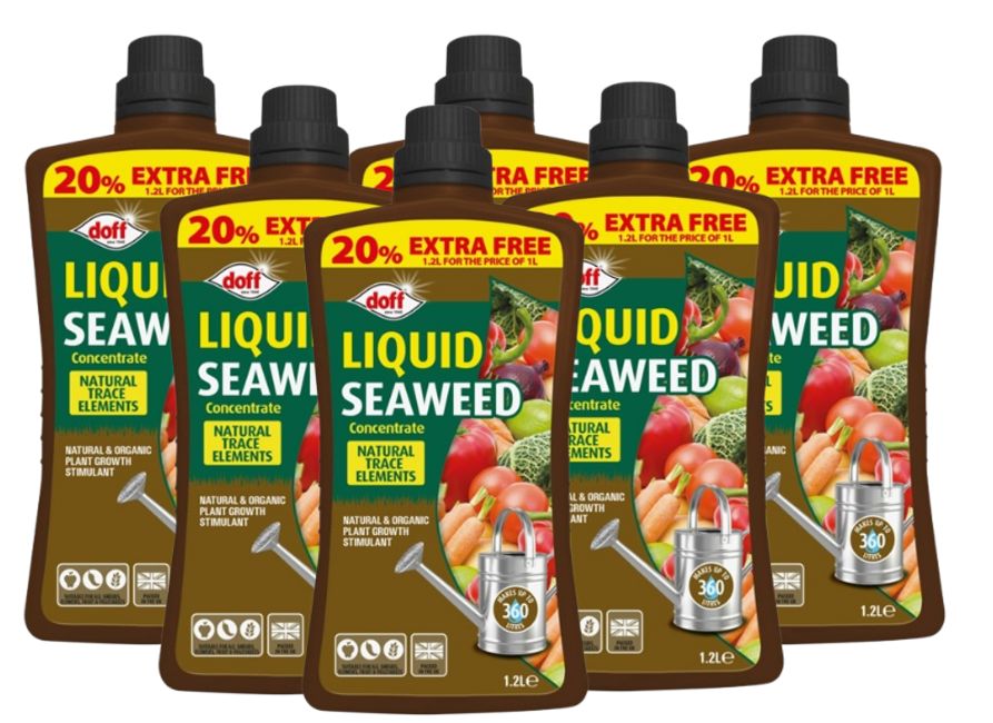 Doff Liquid Seaweed Concentrate 1.2L Extra Fill
