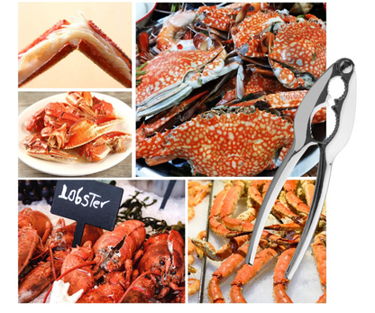 Tala 10A10533 Nutcracker, Walnut Pliers Steel | Seafood Crackers