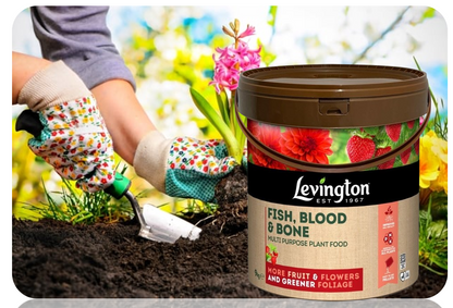 Levington Fish Blood & Bone | More fruit & Flowers | Greener Foliage | 9kg Tub