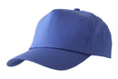 Beeswift Baseball Cap - {ALL COLOURS / SIZES}