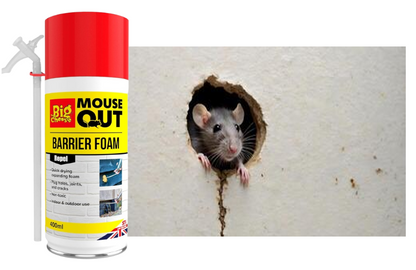 The Big Cheese Barrier Foam | Odor Destroyer and Pheromone Trail Remover | 400ml