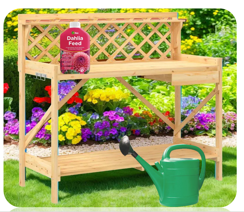 Vitax Liquid Dahlia Feed | High Potash Content | Flower Nutrients | 1 litre