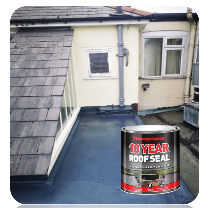 Hprs1L 1L Thompsons High Performance Roof Seal - Black