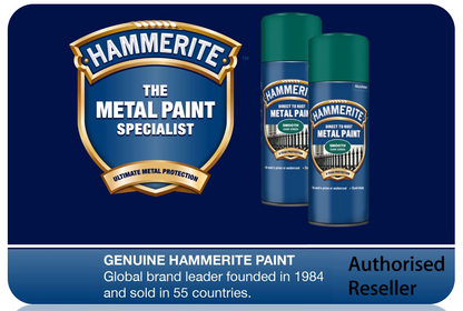 Hammerite Spray Paint for Metal | Direct to Rust Exterior Metal Paint | Smooth Finish | DARK GRE