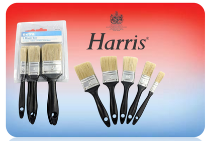 Extra - Natural Paint Brushes - Set Of 5 - 12Mm, 25Mm, 38Mm 50Mm & 62Mm