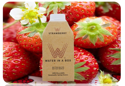 Vivid Water in a Box Strawberry Water 12 x 500ml