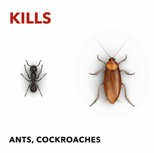 Zero In Anti-Bacterial Ant & Cockroach Killer 500ml (ZER958) - UK BUSINESS SUPPLIES