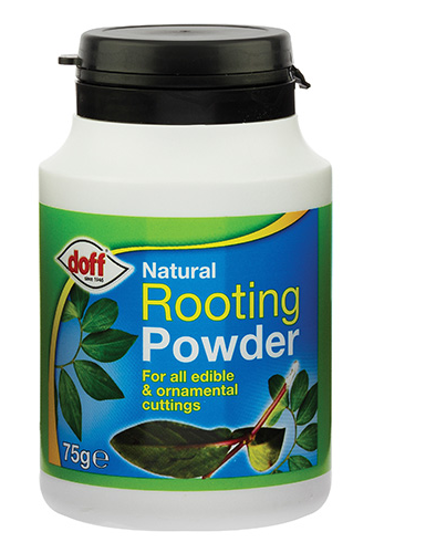 Doff Natural Rooting Powder 75g | 3 Pack Bundle