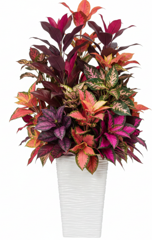 Fixtures Glaze Wave High Gloss LARGE Planter {White} Indoor or Outdoor