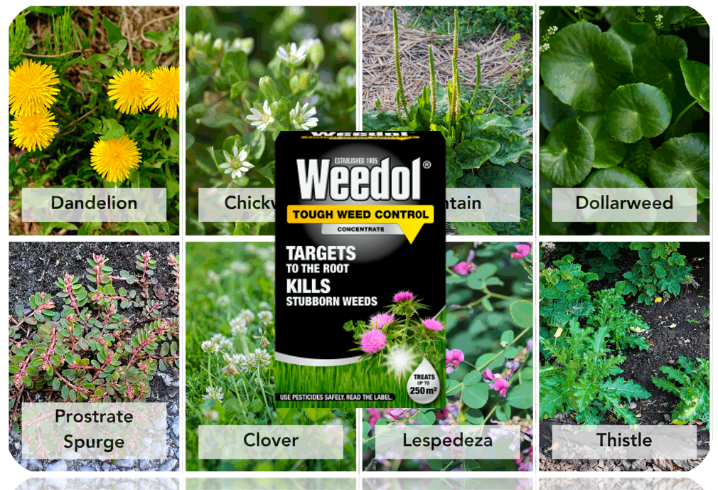 Weedol Tough High Concentrate 500ml.