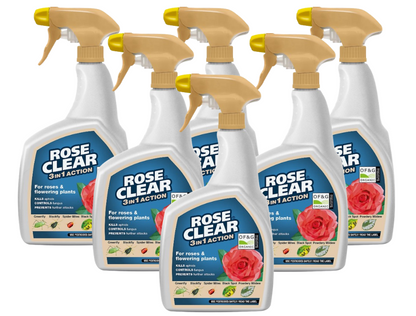 ROSECLEAR 3 in 1 Ready to Use,800 ml