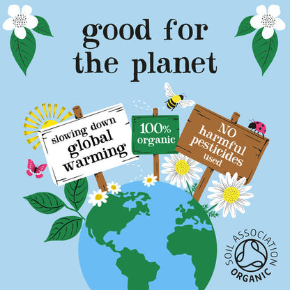 Clipper Fairtrade Organic Speciality English Breakfast 250 Envelopes